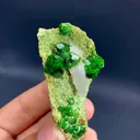 specimen video
