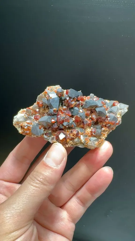 specimen video