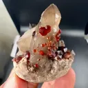 specimen video