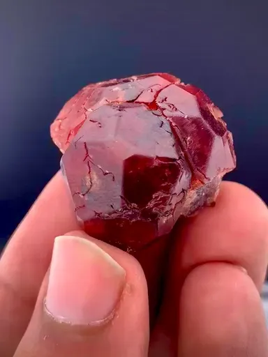 specimen video