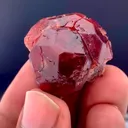 specimen video