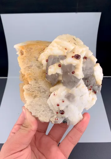 specimen video