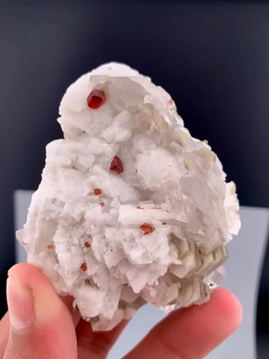 specimen video