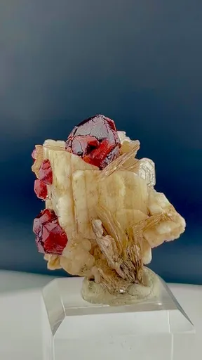 specimen video