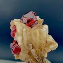 specimen video