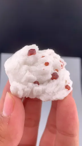 specimen video