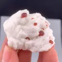 specimen video