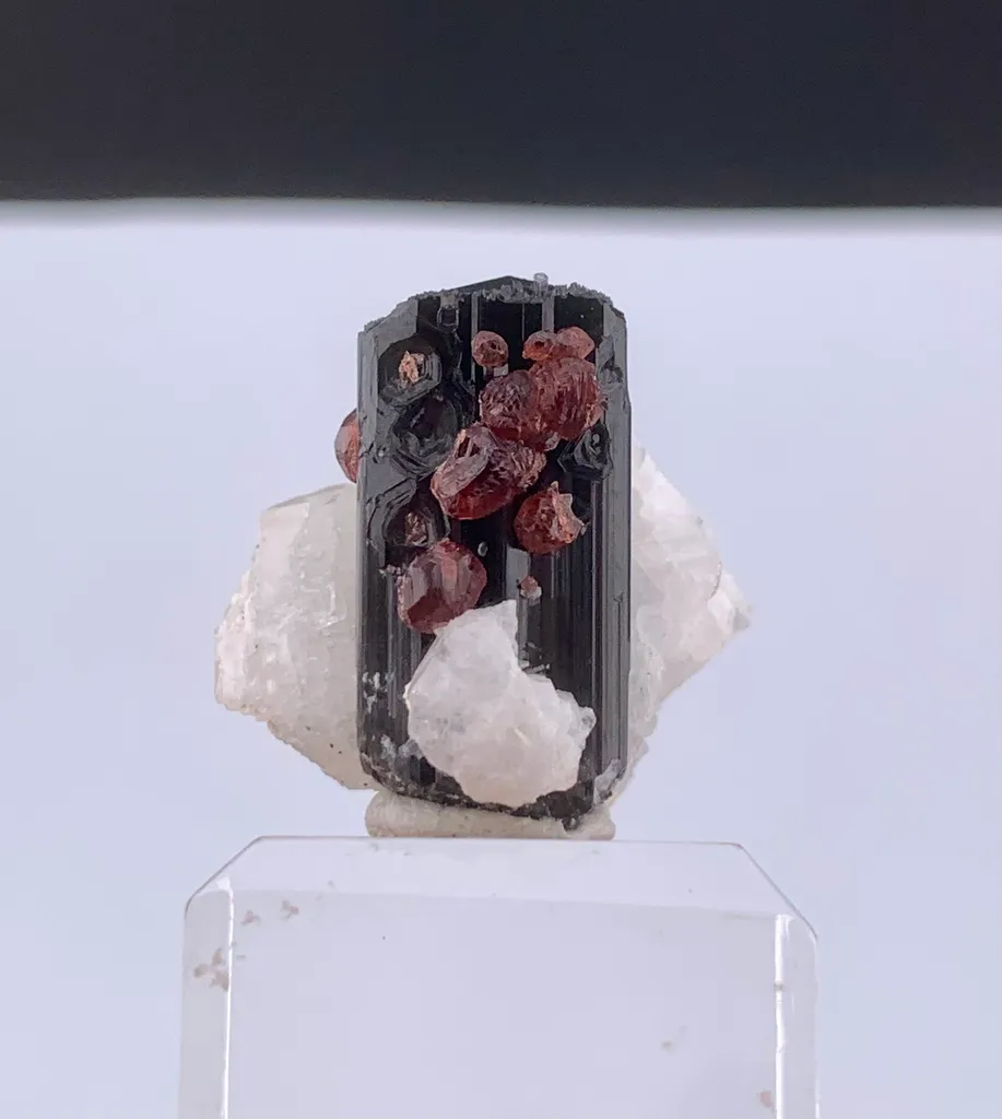 Garnet from Pakistan - image 4