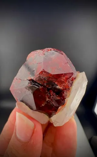 specimen video