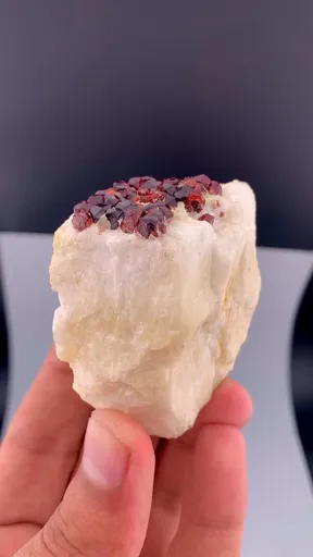 specimen video