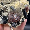 Garnet from Pakistan, Gilgit-Baltistan, Shigar District, Basha Valley - image 5