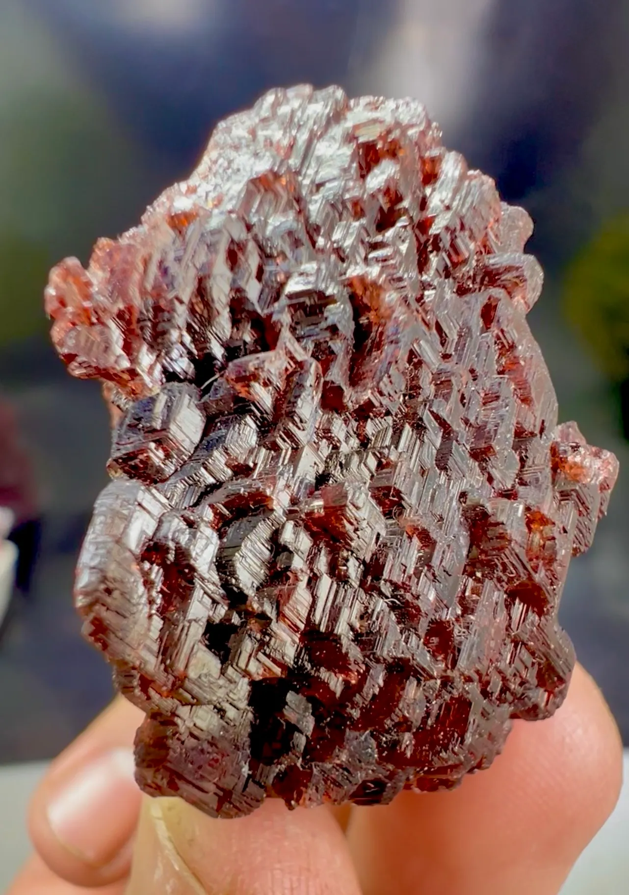 Garnet from Pakistan, Gilgit-Baltistan, Shigar District, Shigar Valley - image 6