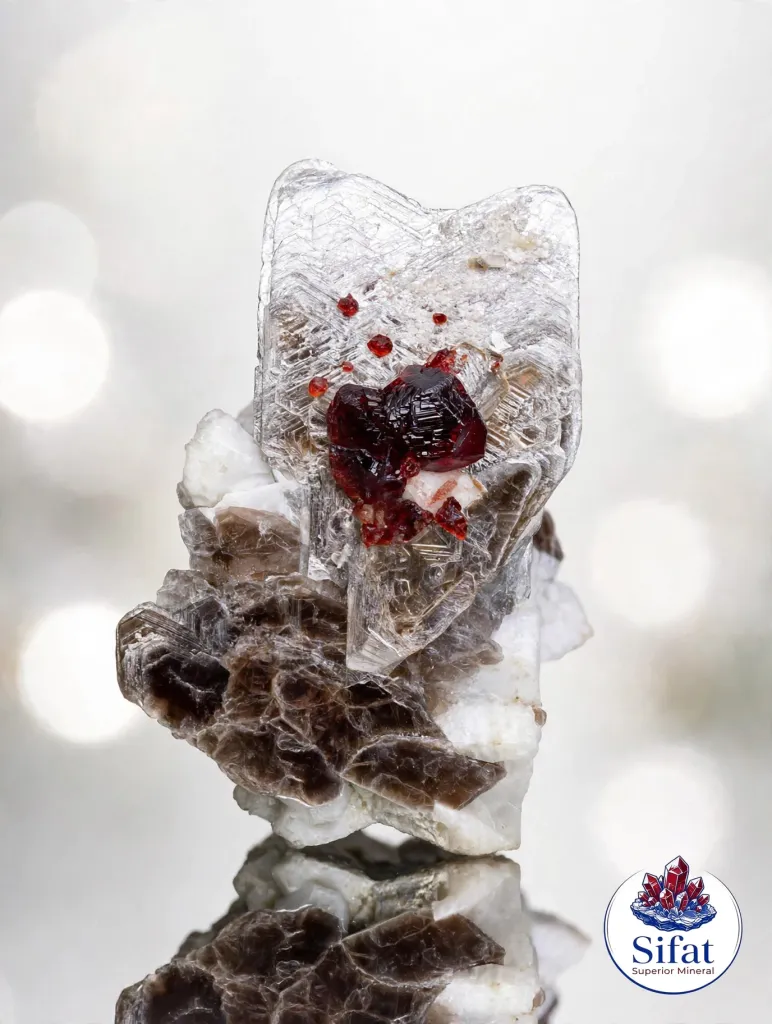 Garnet from Pakistan, Gilgit-Baltistan, Shigar District, Shigar Valley, Alchuri image