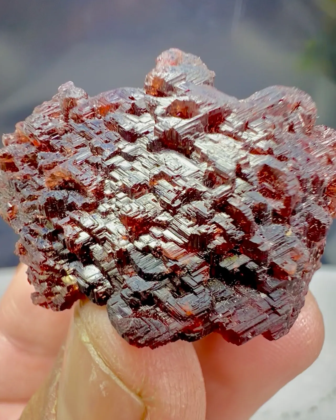 Garnet from Pakistan, Gilgit-Baltistan, Shigar District, Shigar Valley - image 1