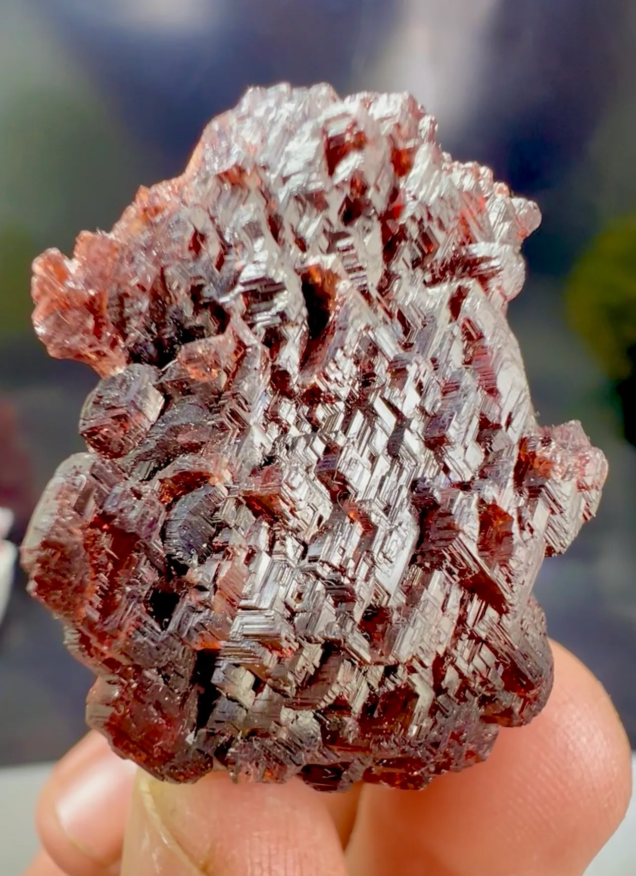Garnet from Pakistan, Gilgit-Baltistan, Shigar District, Shigar Valley - image 5