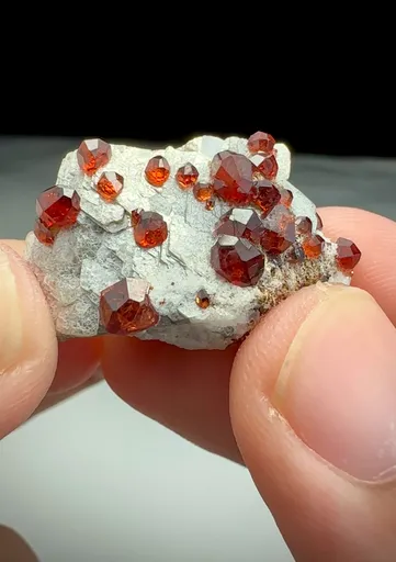specimen video