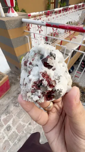 specimen video