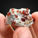 Garnet from Pakistan, Gilgit-Baltistan, Skardu District - image 2