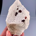 specimen video