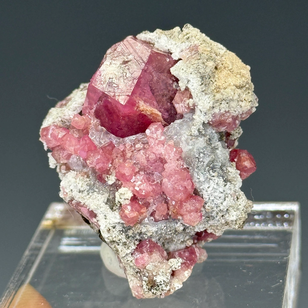Garnet from Sierra de Cruces, Sierra Mojada Municipality, Coahuila, Mexico - image 1