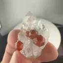 specimen video
