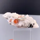 specimen video