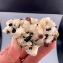 specimen video