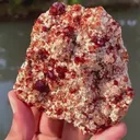 specimen video