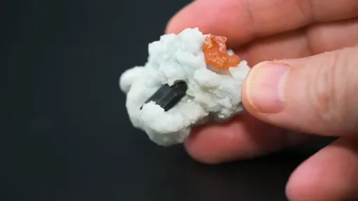 specimen video