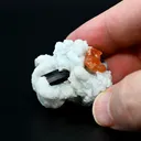 Garnet from USA, California, Little Three Mine - image 2