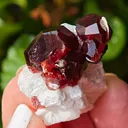 Garnet on Microcline from Skardu, Pakistan. Lustrous wine-red spessartine garnet crystals on matrix.  Great shape and amazing color contrast - image 7