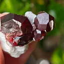 Garnet on Microcline from Skardu, Pakistan. Lustrous wine-red spessartine garnet crystals on matrix.  Great shape and amazing color contrast - image 6