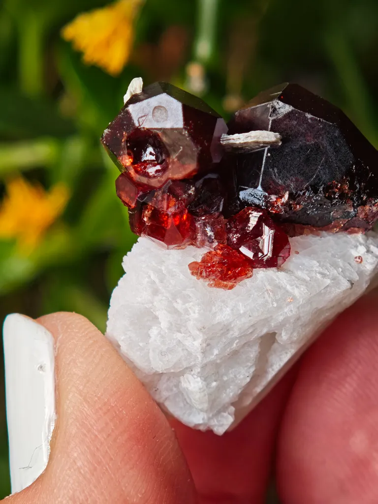 Garnet on Microcline from Skardu, Pakistan. Lustrous wine-red spessartine garnet crystals on matrix.  Great shape and amazing color contrast - image 8