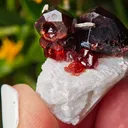 Garnet on Microcline from Skardu, Pakistan. Lustrous wine-red spessartine garnet crystals on matrix.  Great shape and amazing color contrast - image 8
