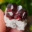 Garnet on Microcline from Skardu, Pakistan. Lustrous wine-red spessartine garnet crystals on matrix.  Great shape and amazing color contrast - image 2