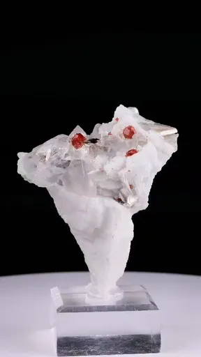 specimen video