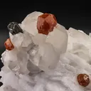 Garnet on Quartz - image 2