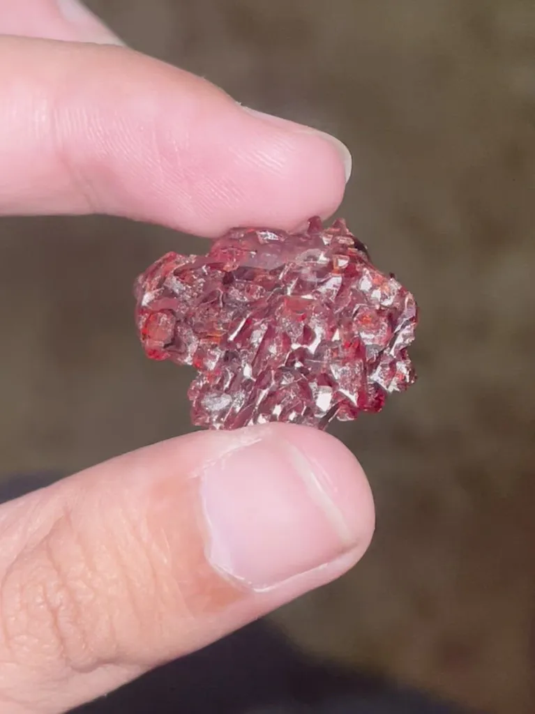 specimen video