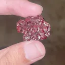 specimen video