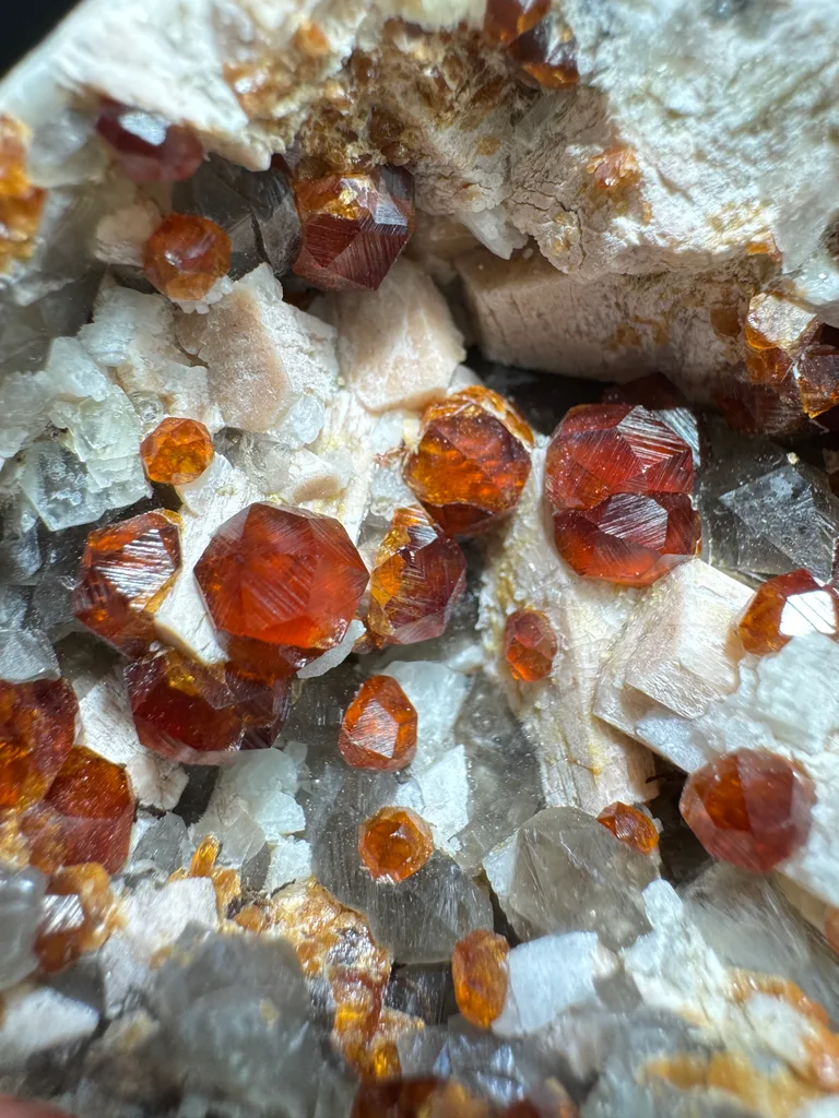 Garnet - image 6