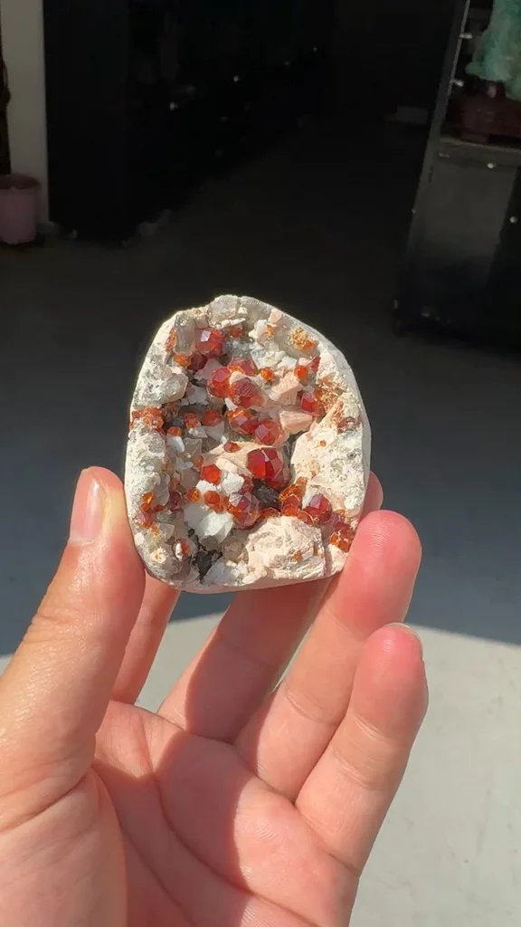 specimen video