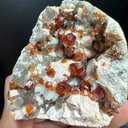 Garnet - image 3