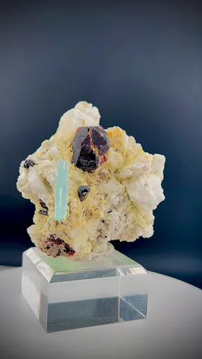 specimen video