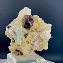 specimen video