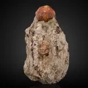 Garnet v. Spessartine - image 1