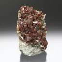 Garnet Var. Andradite Hedenbergite - image 3