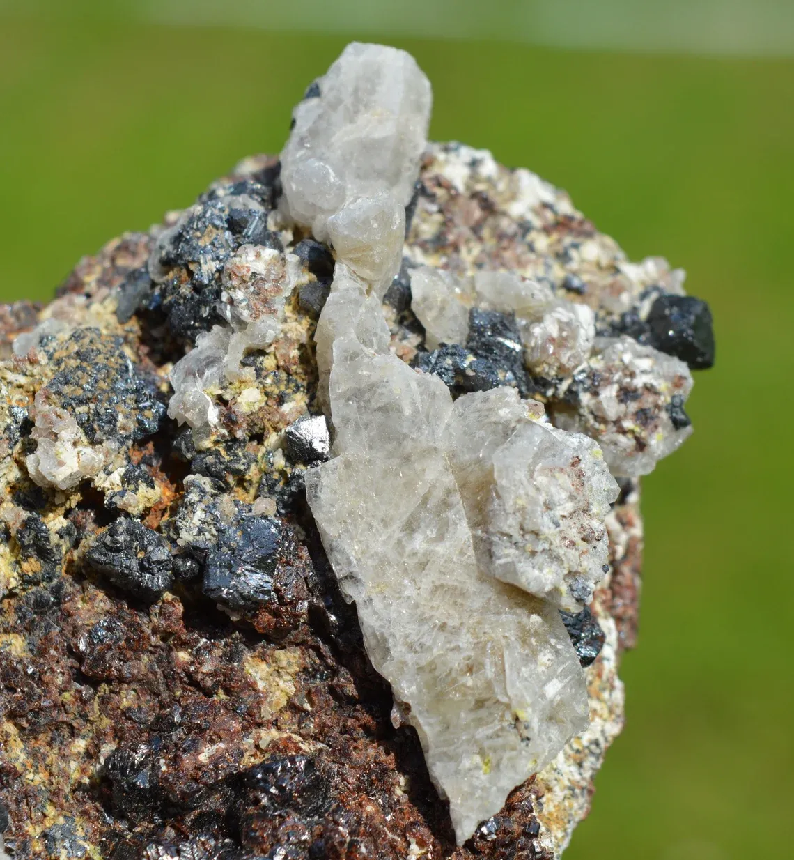 Garnet var. Andradite & Magnetite Scapolite 740 grams - Feilluns, Pyrénées-Orientales, France - image 3