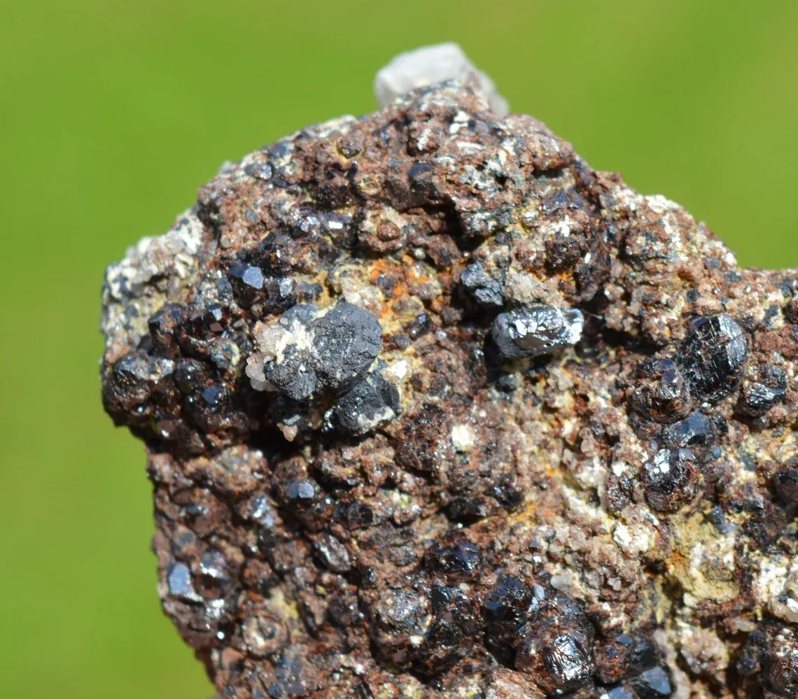 Garnet var. Andradite & Magnetite Scapolite 740 grams - Feilluns, Pyrénées-Orientales, France - image 6
