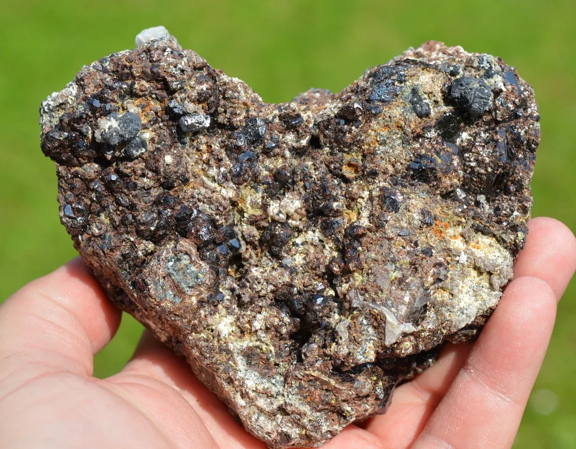 Garnet var. Andradite & Magnetite Scapolite 740 grams - Feilluns, Pyrénées-Orientales, France - image 5