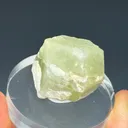 Garnet var. Grossular - image 1